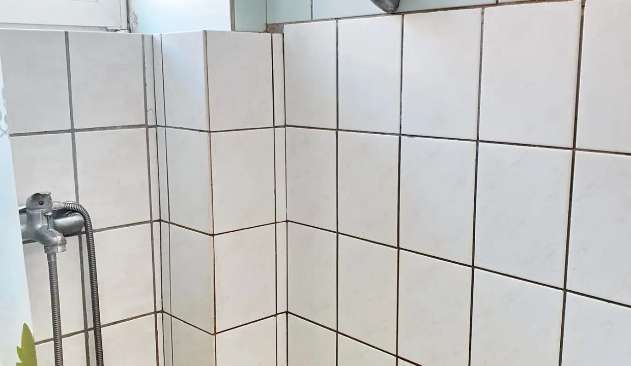 83c6