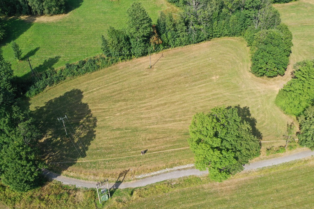 DJI_0905
